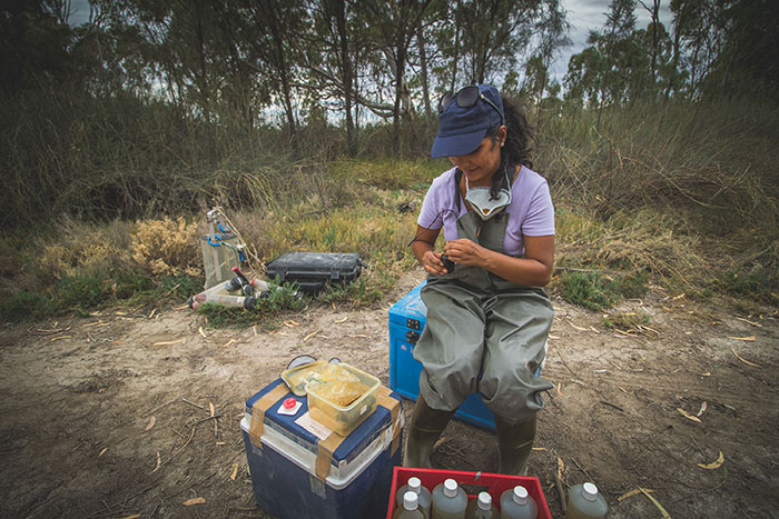 Dr Sanjina Upadhyay from the University of Adelaide processes water samples near Berri, S.A.