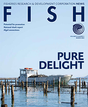 FISH Vol 22 1 magazine cover