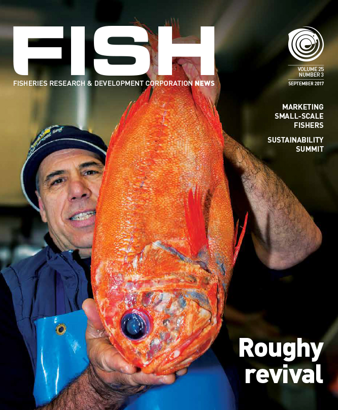 FISH Vol 25 3 magazine cover