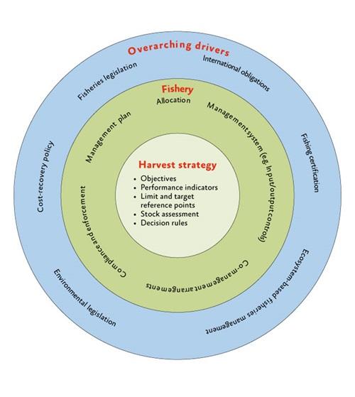 A schematic representatino of how a harvest strategy fits within the overall fishery management framework