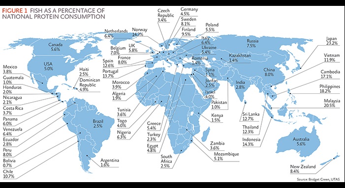 Graphic showing fish as a percentage of national protein consumption across the world