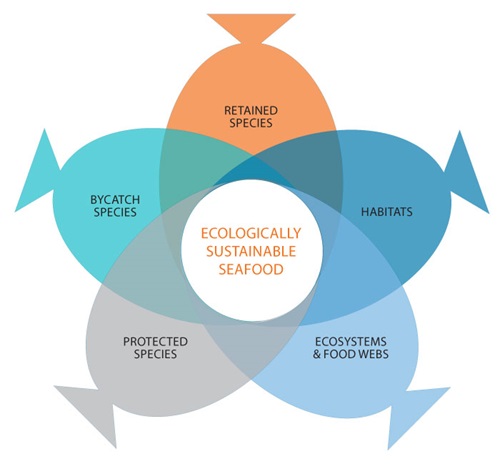 The five ecological components used to determine ecologically sustainable fisheries