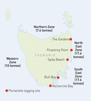 Map showing periwinkle zones in and around Tasmania
