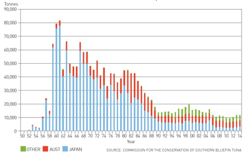 Bar chart showing global southern bluefin tuna catches 1950 to 2014