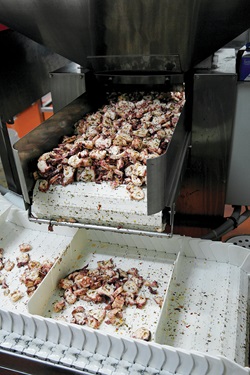 Photo of octopus being cut and seasoned