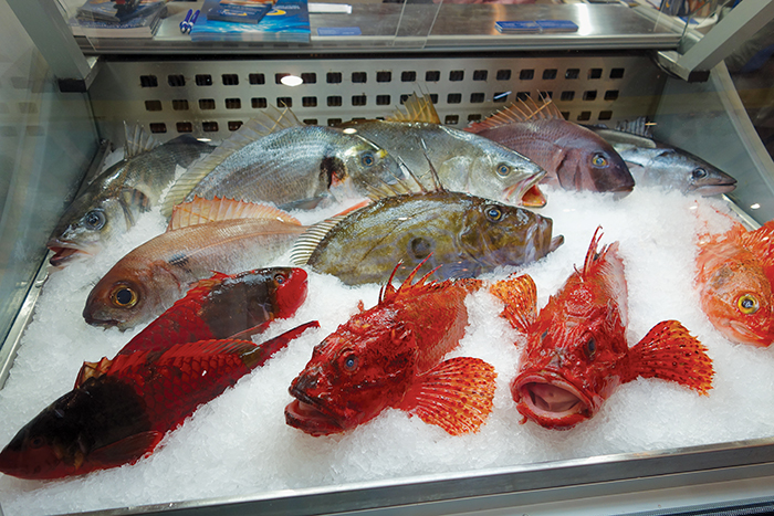 Photo of fish on display at Seafood expo 
