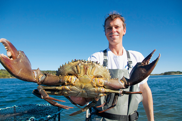 Photo of commercial fisher Troy Billen, standing on a boat and triumphantly holding a crab