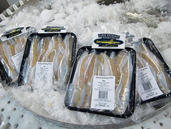 Photo of one-kilogram packets of crumbed whiting fillets