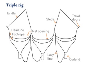Line illustration of a triple rig