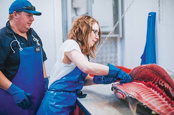 Photo of Morgan Golledge filleting Southern Bluefin Tuna under the supervision of Daniel Jones