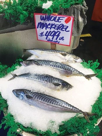 Photo of whole Mackerl on ice at Pike Place Market, Seattle