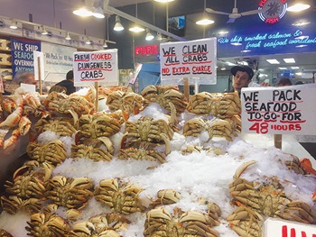 Photo of crabs on ice at Pike Place Market, Seattle