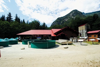Photo of the Seymour River Hatchery, Canada