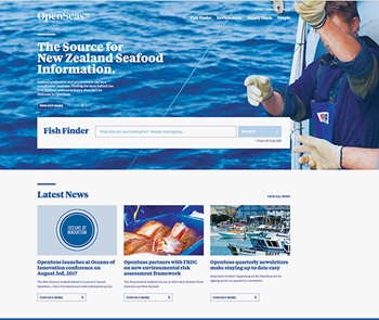 Screenshot of Open Seas website homepage