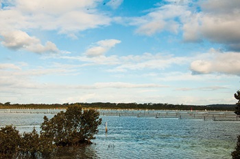Photo of sky, body of water and trees
