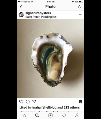 Photo of a "Merimbula Emerald" oyster
