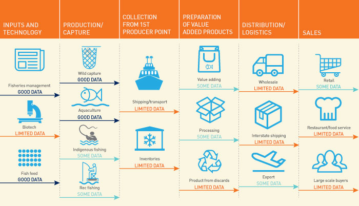 Graphic showing fisheries supply chain and existing Australian data availability