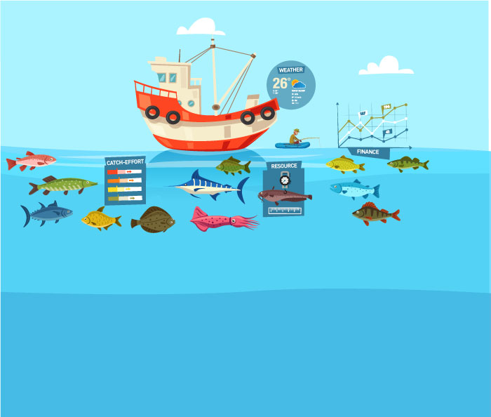 Illustration of fish data