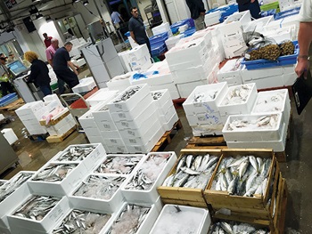 Photo of wholesale seafood available at seafood market in Barcelona
