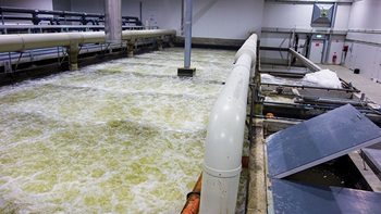 Photo of a recirculating aquaculture system