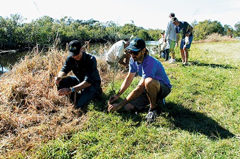 Photo of OzFish tree planting activity (people crouched, laying in plants)