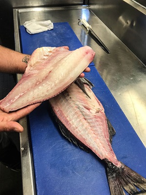 Photo of fish being dry-filleted