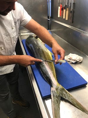 Photo of fish being dry-filleted