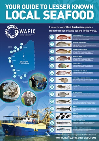 WAFIC poster guide to lesser known local seafood