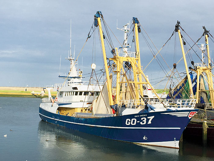 Photo of electric pulse trawler