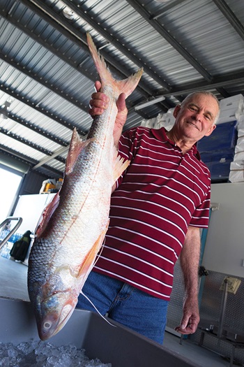 Photo of Mackay estuary fisher Dave Daniel