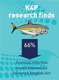 Illustration showing reduction in wild fishmeal for Yellowtail Kingfish diet.