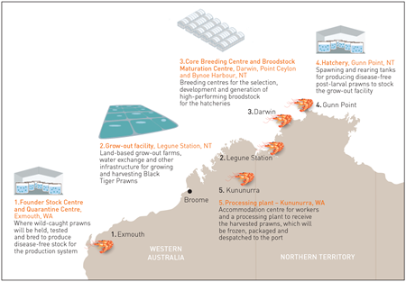 Infographic showing Project Sea Dragon facilities