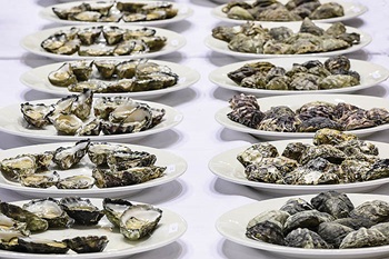 Photo of oysters