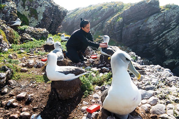 Photo of Rachel Alderman with albatross