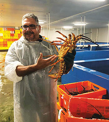 Photo of Mick Gilby holding a rock lobster
