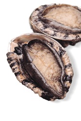 Photo of abalone