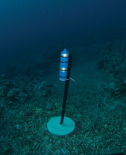 Photo of an accoustic receiver anchored to the ocean floor