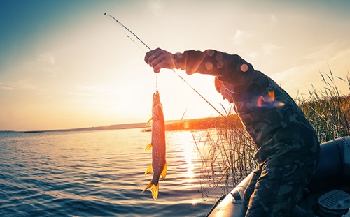 Photo of man holding fish while fishing