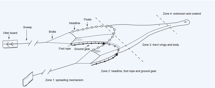 Basic trawl net design