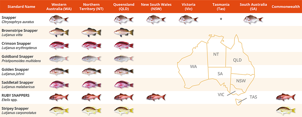 Table 1: State/Territory overlap of commercially important fish species with snapper in their Standard Name 