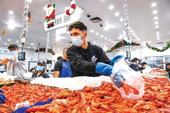 worker at sydney fish market with prawns