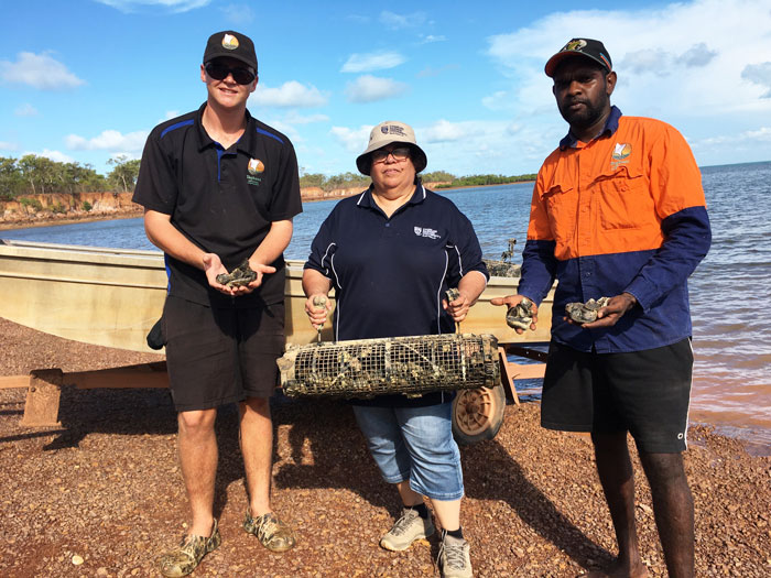 Photo of Yagbani oyster farm manager Brando Westley (left), project leader Cynthia Coyne and Yagbani oyster farm worker Raymond Gelder holding oysters taken for grading at Fletchers Point, Warrawi Community