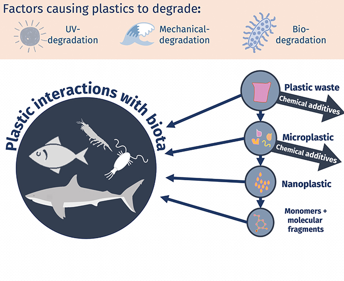 Image depicting factors causing plastics to degrade
