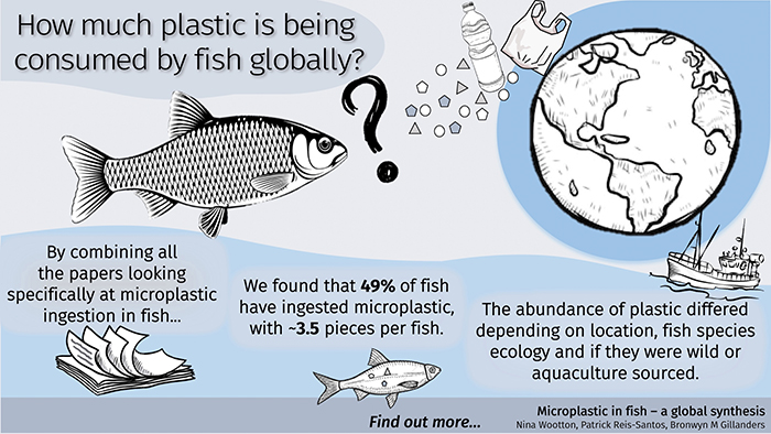 Image depicting how much plastic is being consumed by fish globally