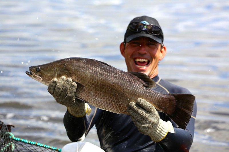 Photo of a man with a live fish. Photo credit: Matt Blyth and the Australian Barramundi Farmers Association
