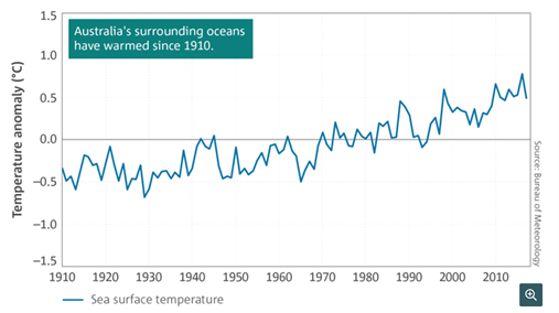 Graph of annual sea temperature over time