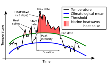 Graph of a marine heatwave