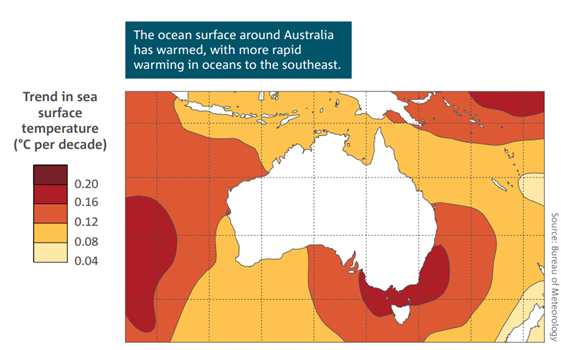 Map of Australian sea surface temperature