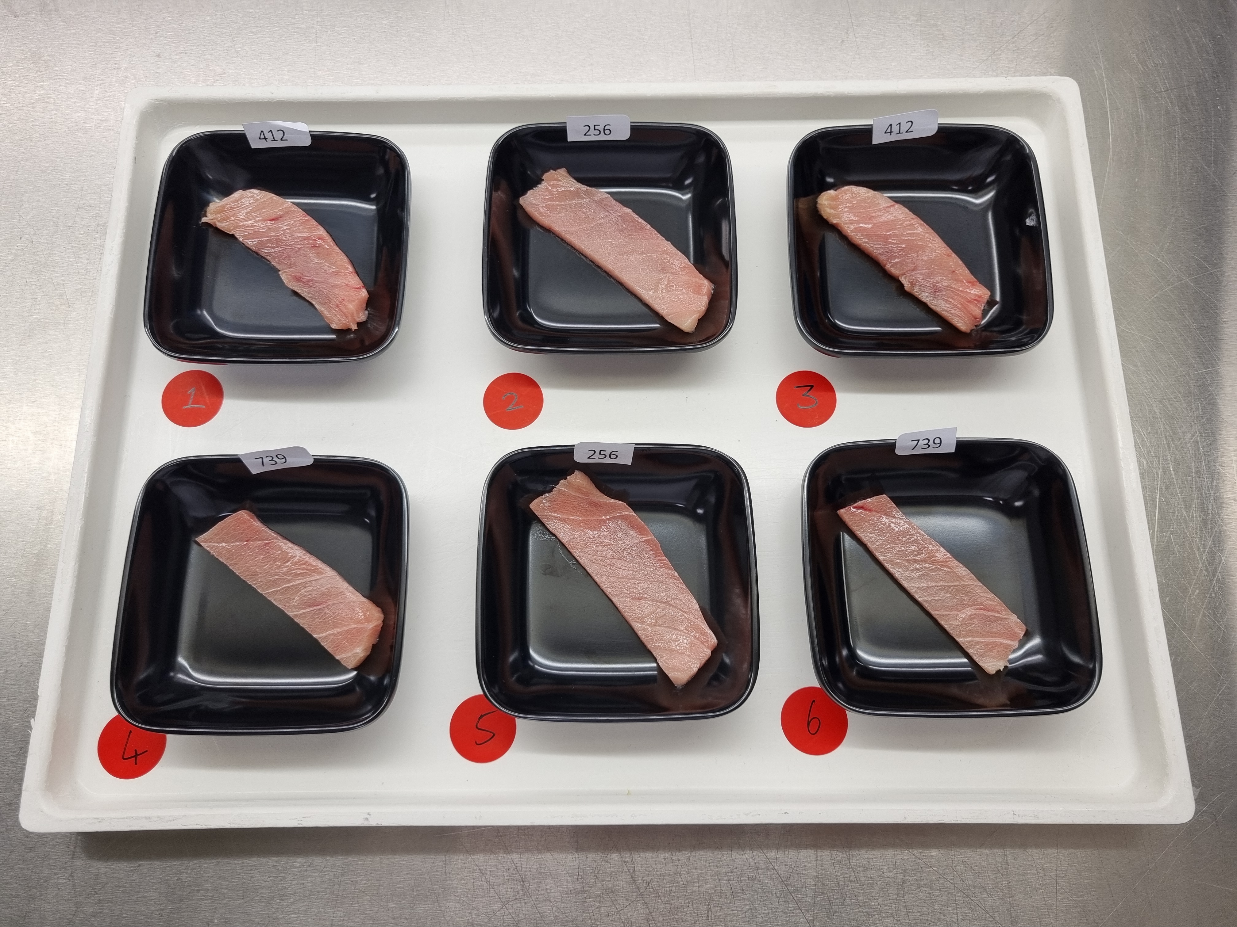 Otoro Tray used for testing with six different cuts of Otoro Tuna, harvested at six unique times