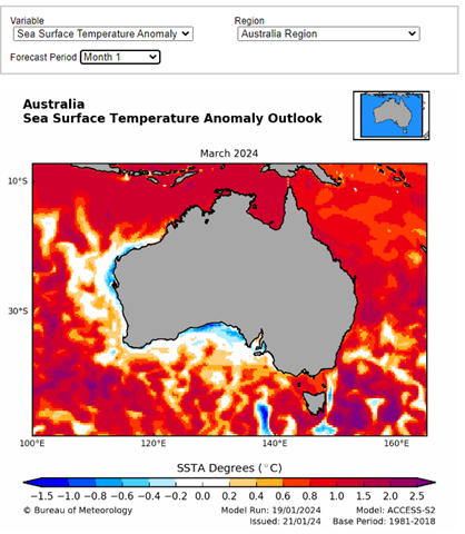 Map of Australia showing Sea Surface Temperature Anomaly. Areas around tasmania are very red